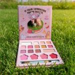 17 Color eyeshadow Makeup Palette for Girls and Kids (Pack of 1)