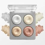 Professional 4 IN 1 BLUSHER & HIGHLIGHTER.