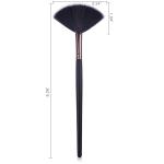 Soft Bristles Fan Brush & Eyeliner Makeup Brush Combo (Pack of 1)