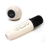 Mini Bluetooth Speaker with Wireless Mic, in-Built USB Rechargeable Battery(1 Piece)