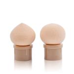 Nail Art Tool Pen Dual Head Nail Sponge Gradient Ombre Nail Pen  With 4 Replacement (Pack of 1).