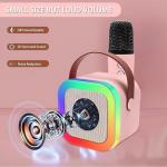 Mini Bluetooth Speaker with Wireless Mic, in-Built USB Rechargeable Battery(1 Piece)