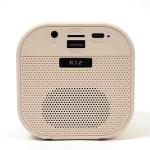Mini Bluetooth Speaker with Wireless Mic, in-Built USB Rechargeable Battery(1 Piece)