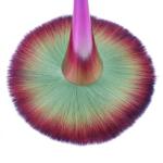 Blush brush,  cleaning tools, make-up brushes, nail brushes, for Professional for Home 1 Pcs