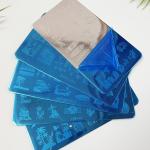 Plastic Stamping Nail Art Kit (Pack of 1)