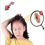 2pc Lice Comb - Stainless Steel lice Comb and Flea Lice Comb For Cat, Dog Treatment.