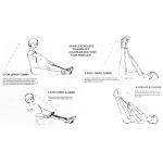 Single Spring Tummy Trimmer | Abs Exerciser (Pack of 1).