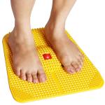 Acupressure Care Power Mat Acupuncture Therapy for Pain Relief and Total Health(Pack of 1).
