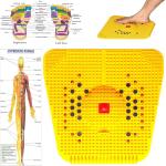 Acupressure Care Power Mat Acupuncture Therapy for Pain Relief and Total Health(Pack of 1).