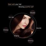 Lipstick Shape Hair Color Dyeing Pen Hair Pure Hair Color (black color)