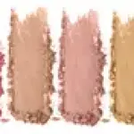 12 color Blush Palette (pack of 1).