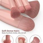 Mini Makeup Brushes Set with Mirror 5 Pcs Brushes Kit Case (Multicolour).