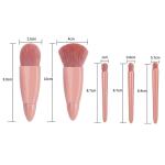 Mini Makeup Brushes Set with Mirror 5 Pcs Brushes Kit Case (Multicolour).
