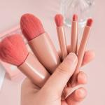 Mini Makeup Brushes Set with Mirror 5 Pcs Brushes Kit Case (Multicolour).
