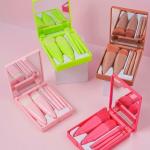 Mini Makeup Brushes Set with Mirror 5 Pcs Brushes Kit Case (Multicolour).