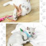 Cat Teaser Playing Stick Wooden Cat Wand Toy 1 Pcs