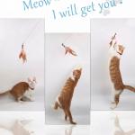 Cat Teaser Playing Stick Wooden Cat Wand Toy 1 Pcs