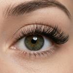 Premium Black 3D Eyelash Set, For Parlour, Box