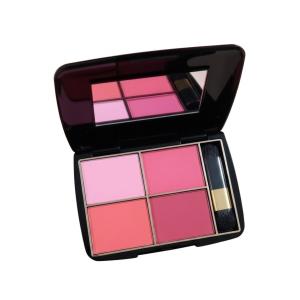 4 color high quality Fashion Makeup Steel Blusher Palette kit
