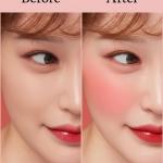4 color high quality Fashion Makeup Steel Blusher Palette kit