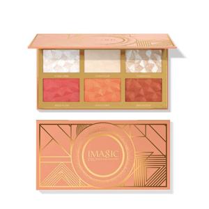 6 COLOR HIGHLIGHT,BLUSH AND CONTOUR PALETTE 24.g