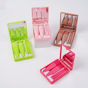 Mini Makeup Brushes Set with Mirror 5 Pcs Brushes Kit Case (Multicolour).