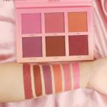 6 COLOR TOUCH BLUSH PALETTE 1 Pcs