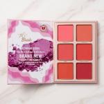 Professional All in one 5 in 1 Makeup Book Kit (Pack Of 1)..