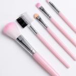 Mini 5 In 1 Makeup Mini Brushes Set for Women's & Girls (Pink).