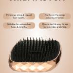 Detangling Hair Comb Brush, Detangler Hair Brush Use in Wet and Dry Hair (Pack of 1).