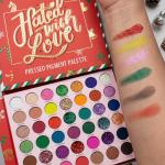 Red Palette 63 Multicolor Eyeshadow (Pack of 1).