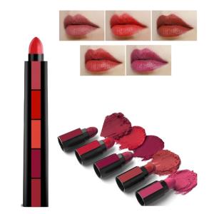 5 IN 1 Non Transfer Matte Lipstick