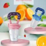 Fruit Feeder for 3 to 12 Months Babies (Pack of 1) Blue