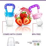 Fruit Feeder for 3 to 12 Months Babies (Pack of 1) Blue
