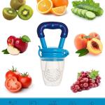Fruit Feeder for 3 to 12 Months Babies (Pack of 1) Blue