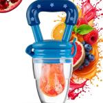 Fruit Feeder for 3 to 12 Months Babies (Pack of 1) Blue