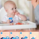 Fruit Feeder for 3 to 12 Months Babies (Pack of 1) Blue