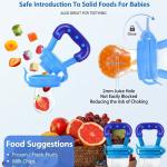 Fruit Feeder for 3 to 12 Months Babies (Pack of 1) Blue