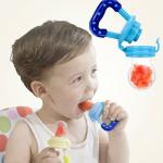 Fruit Feeder for 3 to 12 Months Babies (Pack of 1) Blue