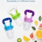 Baby Fruit Feeder for 3 to 12 Months,(Multicolour) 1 Piece.
