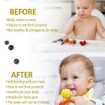 Baby Fruit Feeder Pacifier Nibbler for Fruit Feeder Teether (1 Piece).