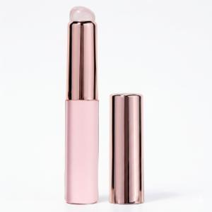 Silicone Lip Brush with Cover Lipstick Makeup Brushes Women (Pack of 1).Glitter Pink