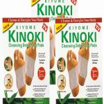 Cleansing Detox Foot Pads Toxins Stress Relief Pain Free Foot Pads for Release Body 1 Pack