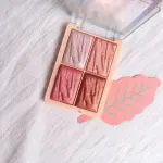 Blusher with Highlighter 12g (Multicolour) 1 Pcs