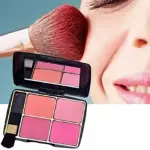 4 color high quality Fashion Makeup Steel Blusher Palette kit