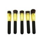 Makeup Brushes 10 Pcs Makeup Brush Set  (Pack of 1)