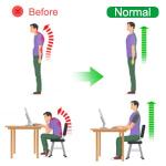 Back Pain Relief Product Back Stretcher, Spinal Curve Back Relaxation Device (1 Pcs)