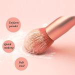Beauty Complexion 8 piece Brush Kit Set (Pack of 1)