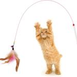 Cat Teaser Playing Stick Wooden Cat Wand Toy 1 Pcs