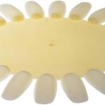 Nail plate for your practice (Pack of 1).
